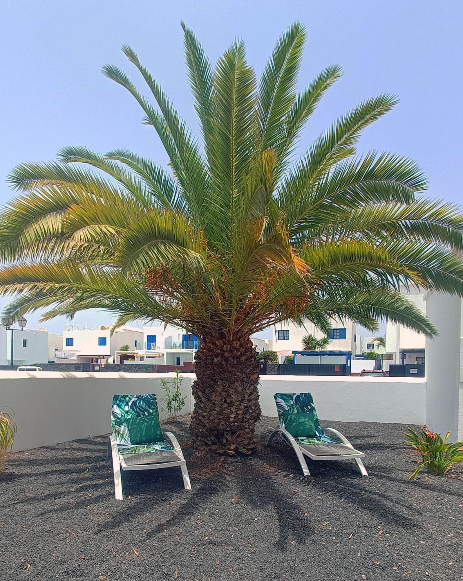 Lovely Casa Felicidad, Swimming Pool, Wifi X Private Garden بلايا بلانكا المظهر الخارجي الصورة